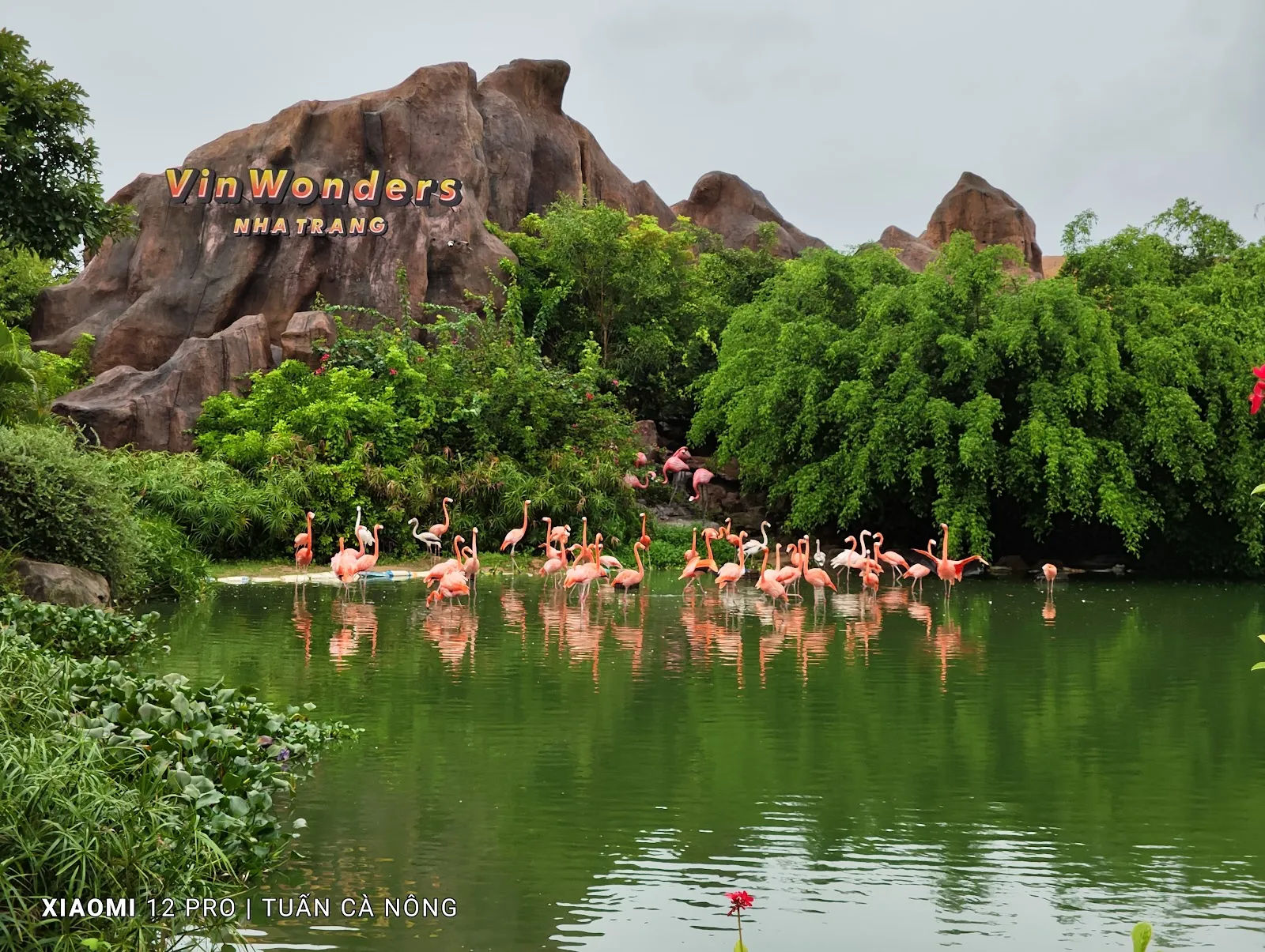 VinWonders Nha Trang — reference photo 4