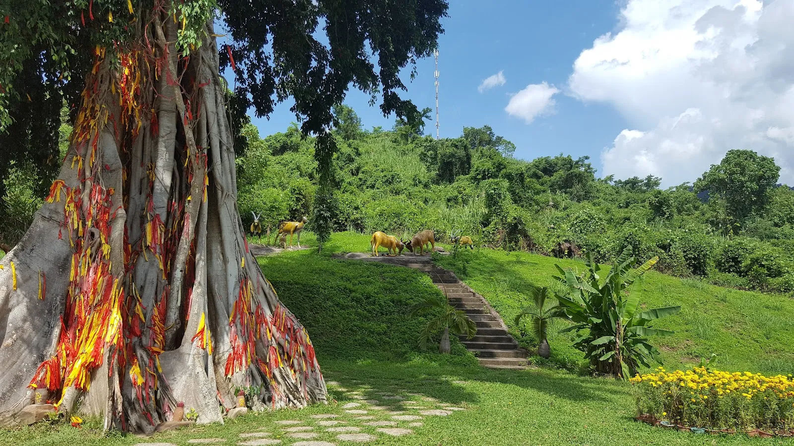 Thác Yang Bay — ảnh tham khảo 6