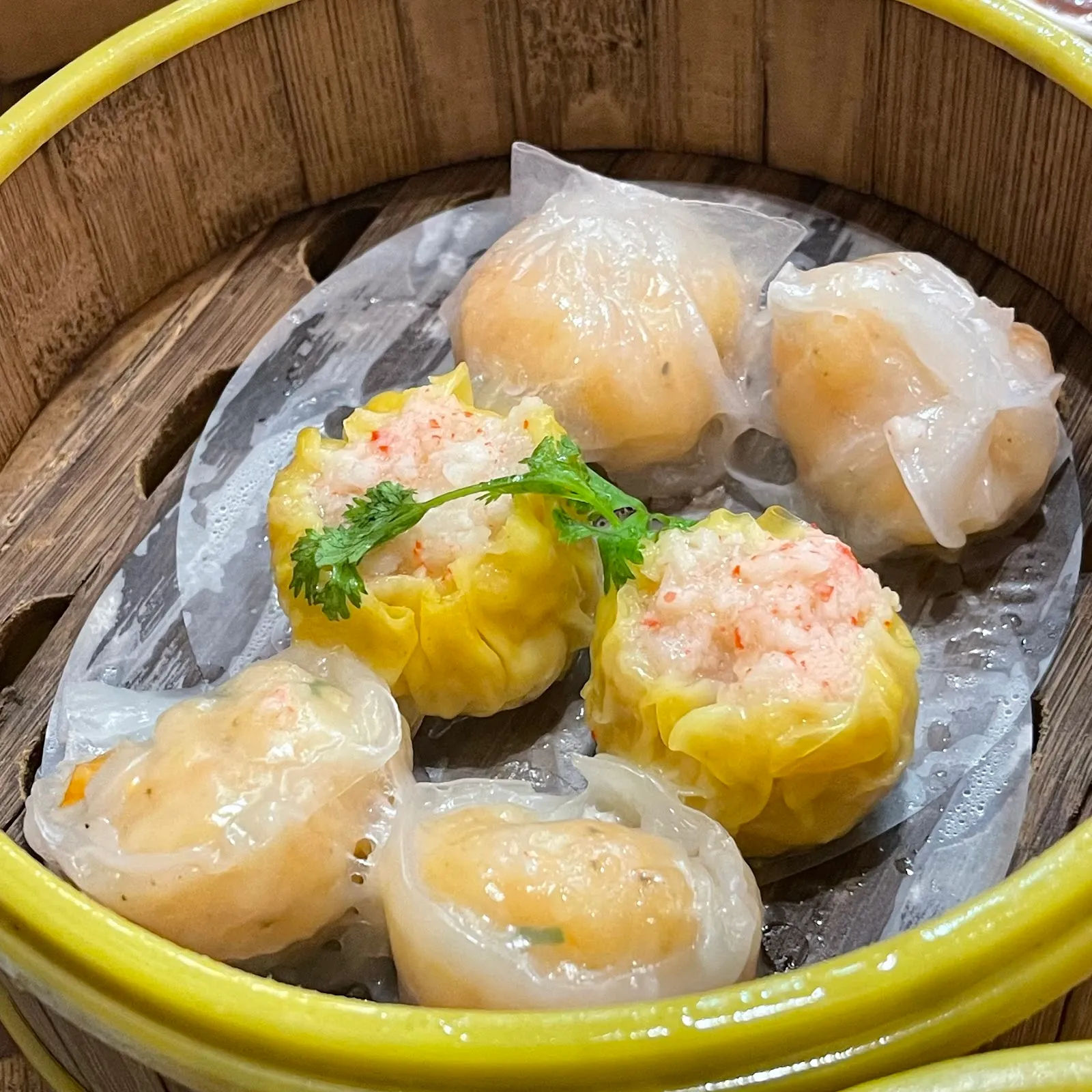 CAO DIMSUM — ảnh tham khảo 1