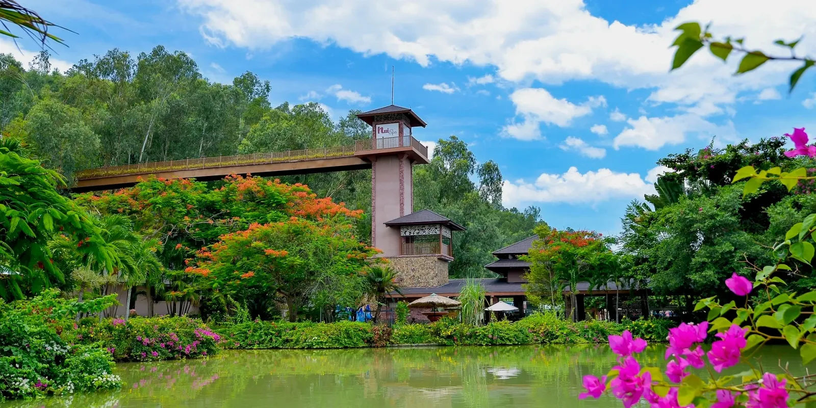 Tắm bùn Tháp Bà — ảnh 1