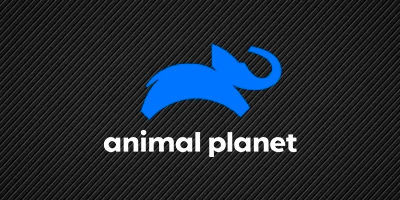 ANIMAL PLANET