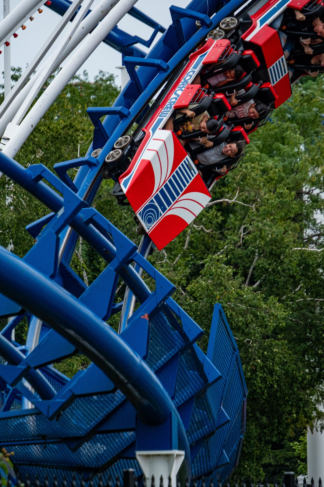 Photo 4