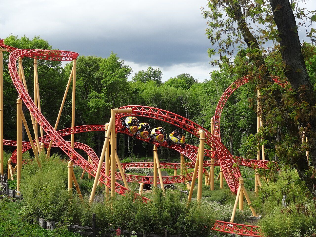 Photo 1