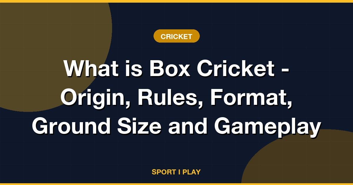 What is Box Cricket - Origin, Rules, Format, Ground Size and Gameplay