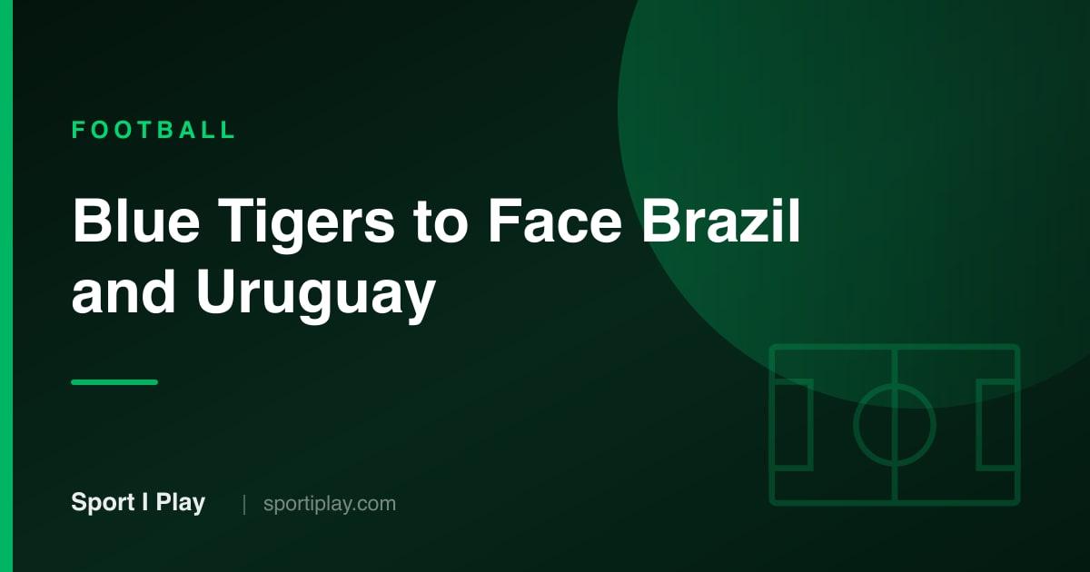 India Football Team vs Panama, Brazil, Uruguay: Schedule