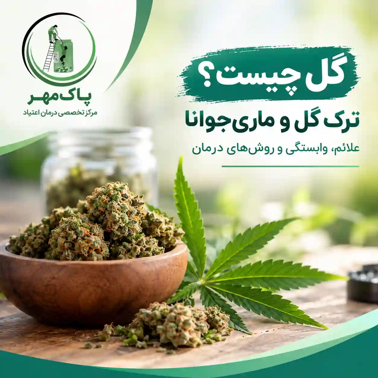 گل یا ماری جوانا