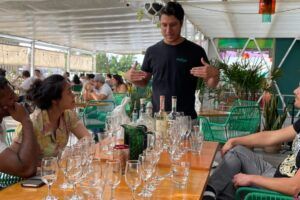 Tasting of agave spirits