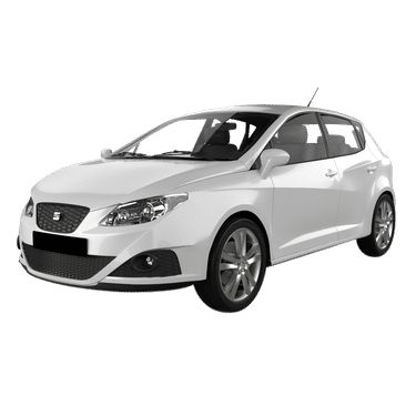 1.4 TSI 180 hp Cupra 2010