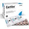 Cartilex