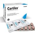Cartilex