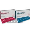 Fincor