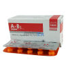 A-B1