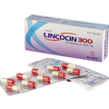 Lincocin