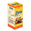Zivit