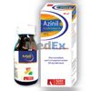 Azinil