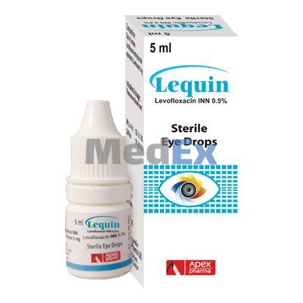 Lequin