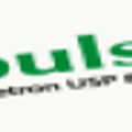 Apulset