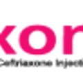 Axon