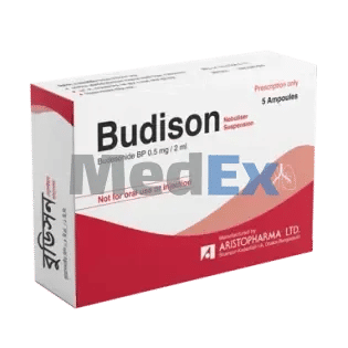 Budison