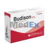 Budison
