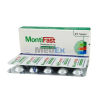 MontiFast