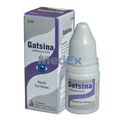 Gatsina