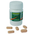 Evagren