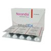 Nocandia