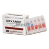 Dexamin