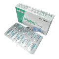 Pulbo