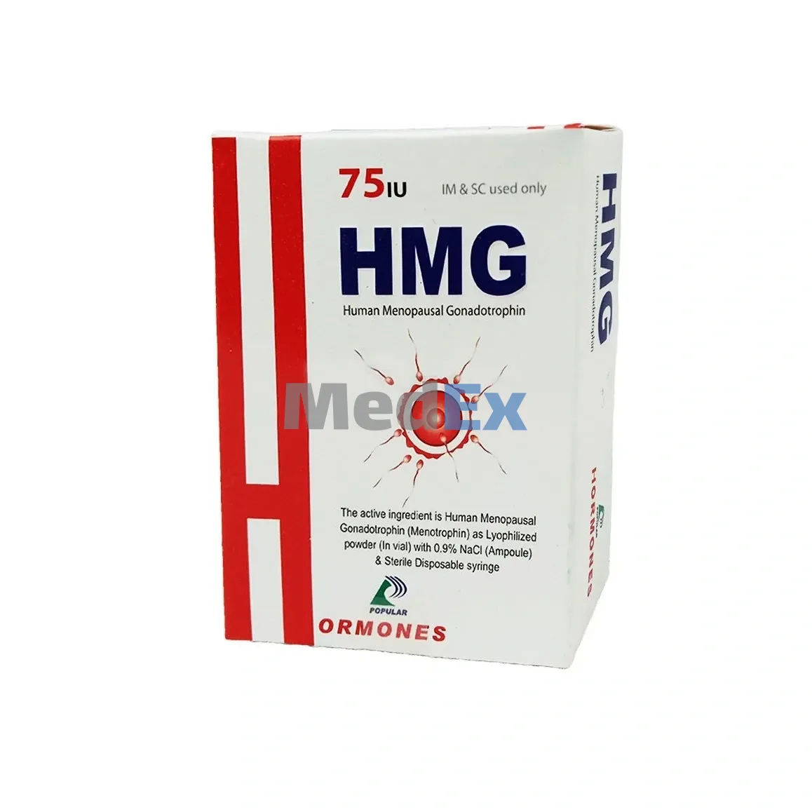 HMG