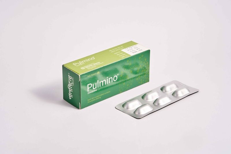 Pulmino