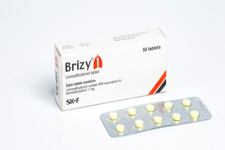 Brizy