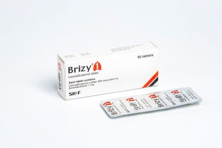 Brizy