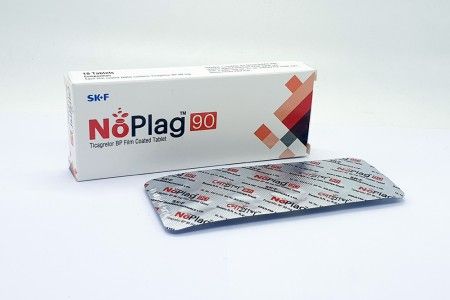 NoPlag