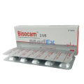 Bisocam