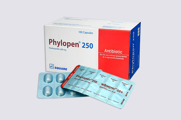 Phylopen