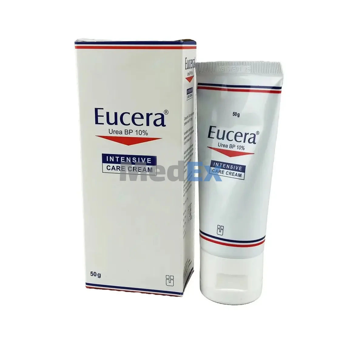 Eucera