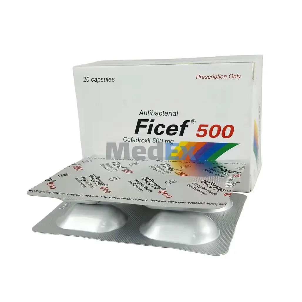 Ficef