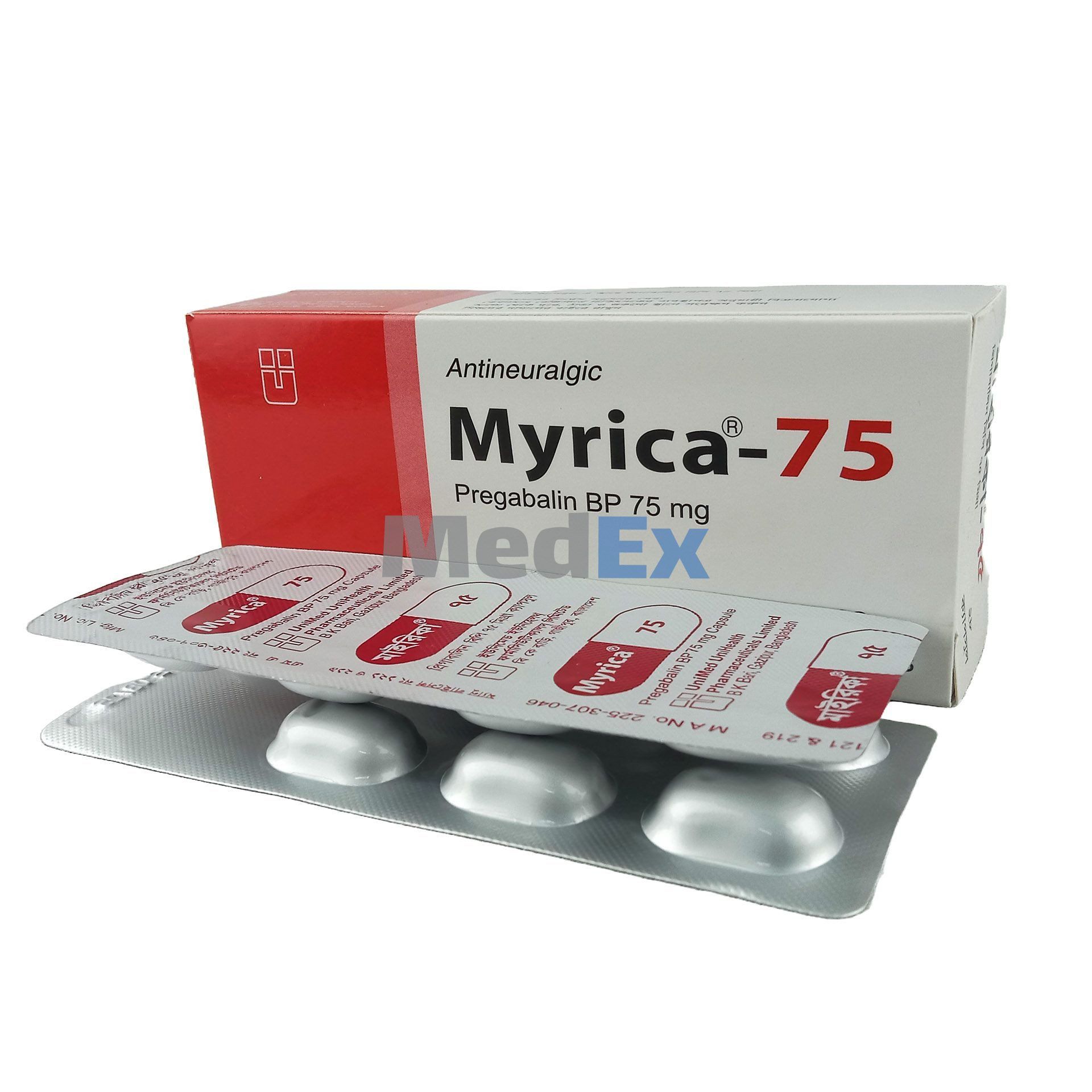 Myrica