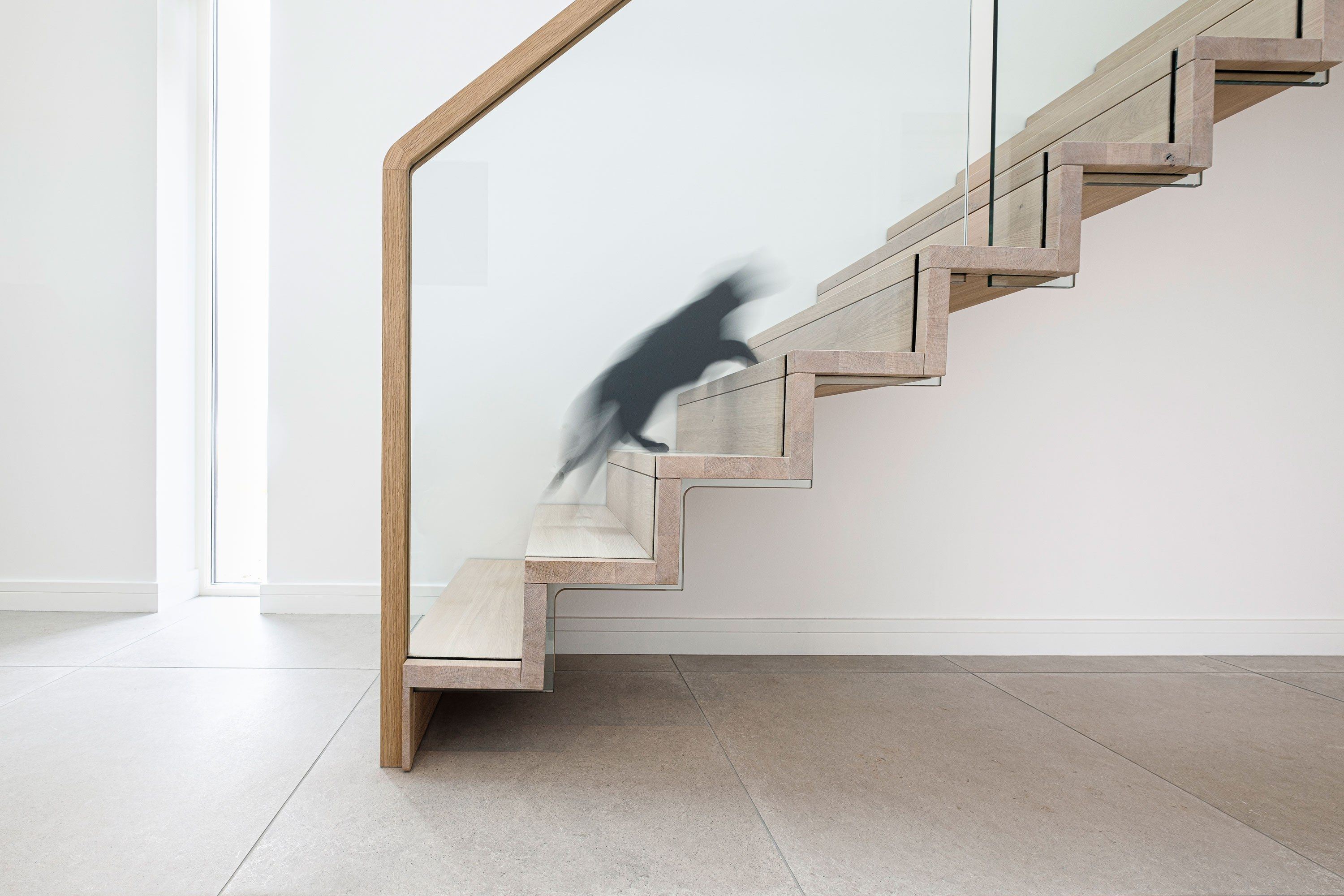 Side view of slim profile cantilevered oak staircase handrail and glass balustrade. Black cat running upstairs.