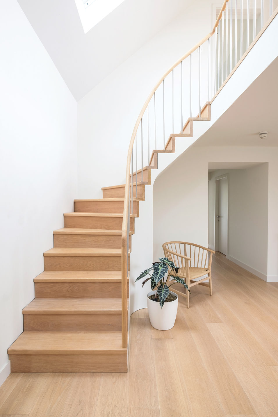 Front view of oak stair with round oak handrail and stainless steel balustrade spindles. Danish design oak chair  White walls and potted plant.