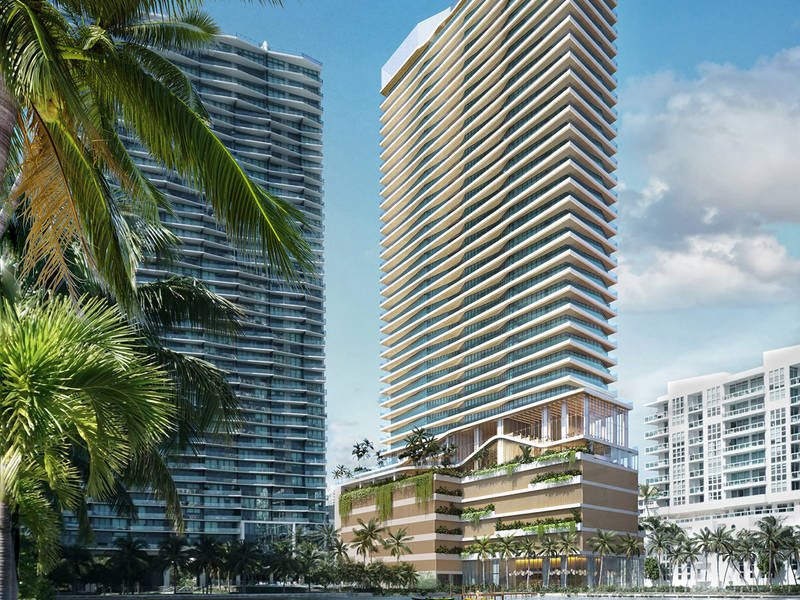 Cove Miami