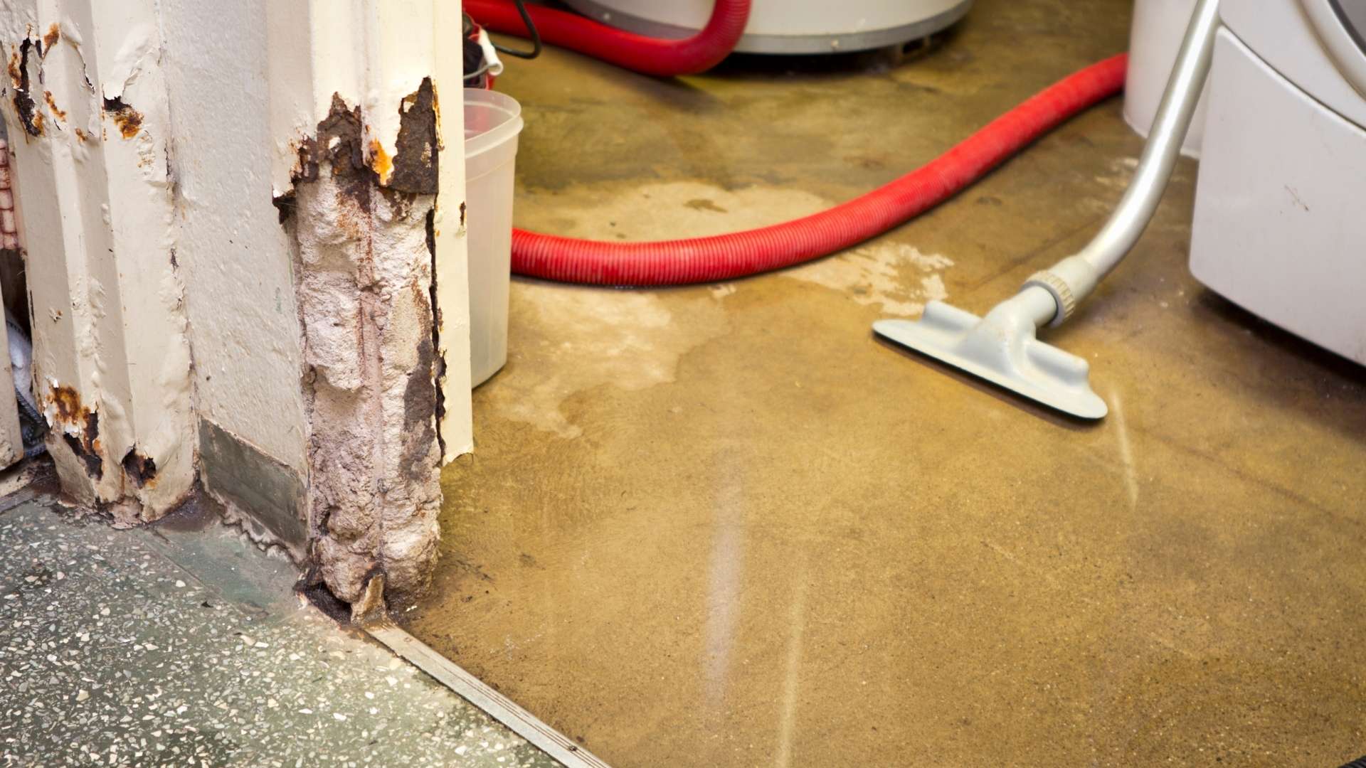 FAQS about Commercial Water Damage Repair Services in Alpine, CA