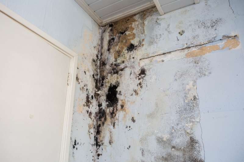 Drywall Water Damage Repair in Prentice, WI