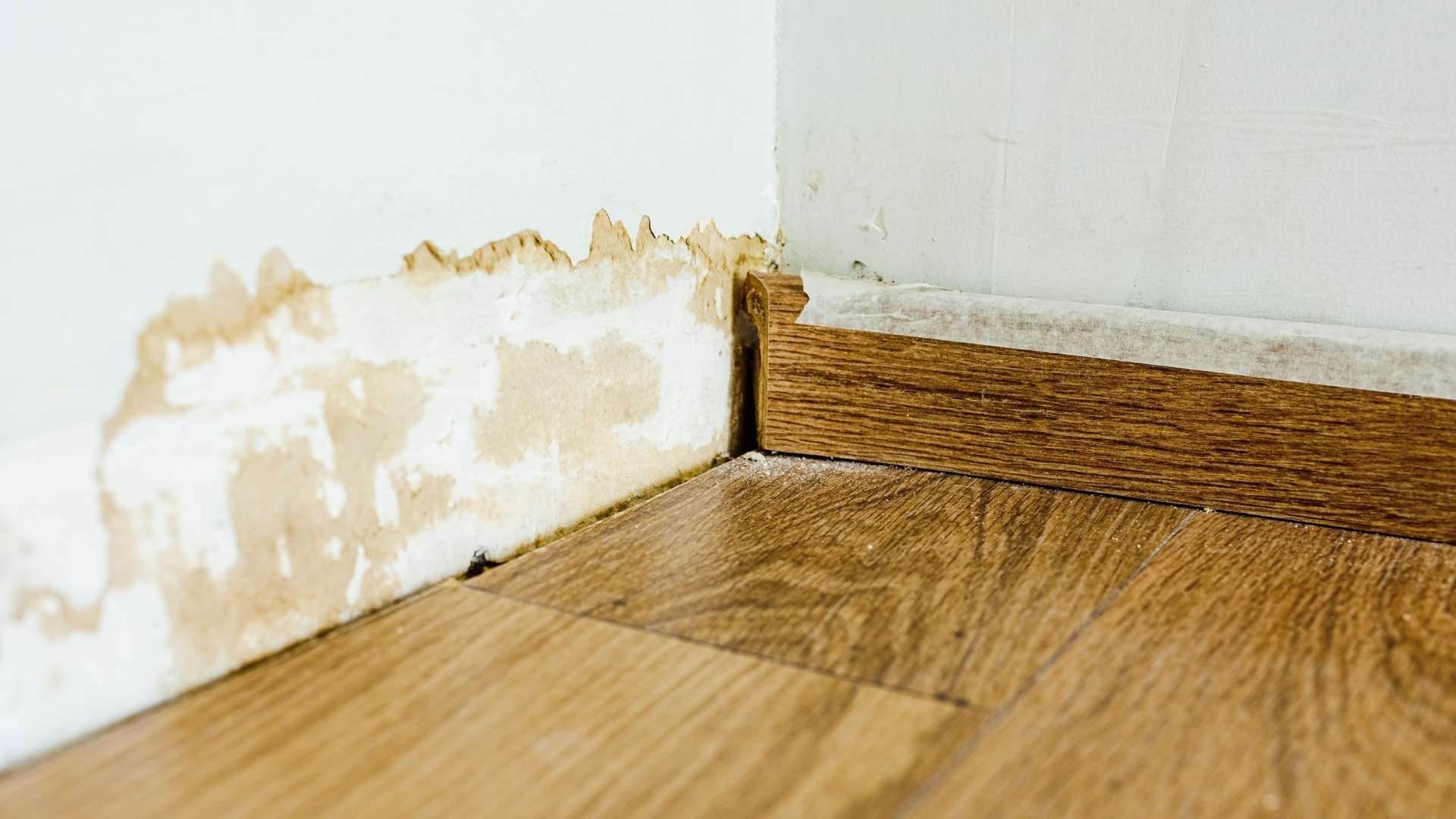 FAQS about Drywall Water Damage Repair Services in Prentice, WI