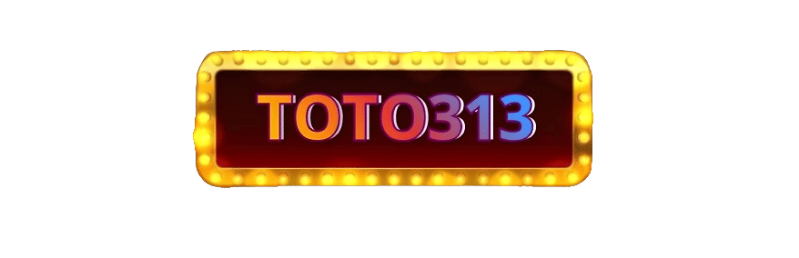 TOTO313