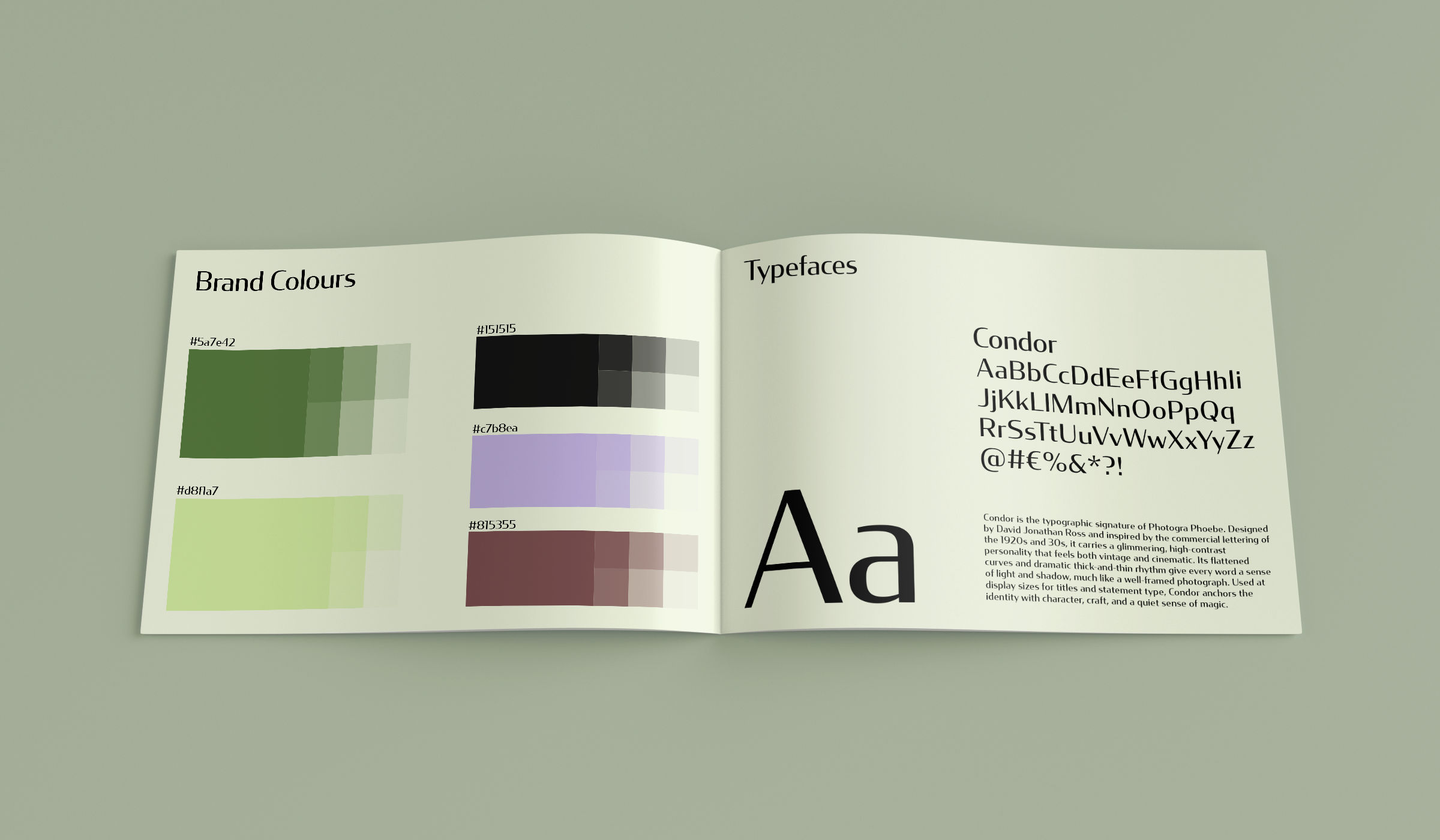 Photogra Phoebe brand identity and photography design by Amelie Dimech