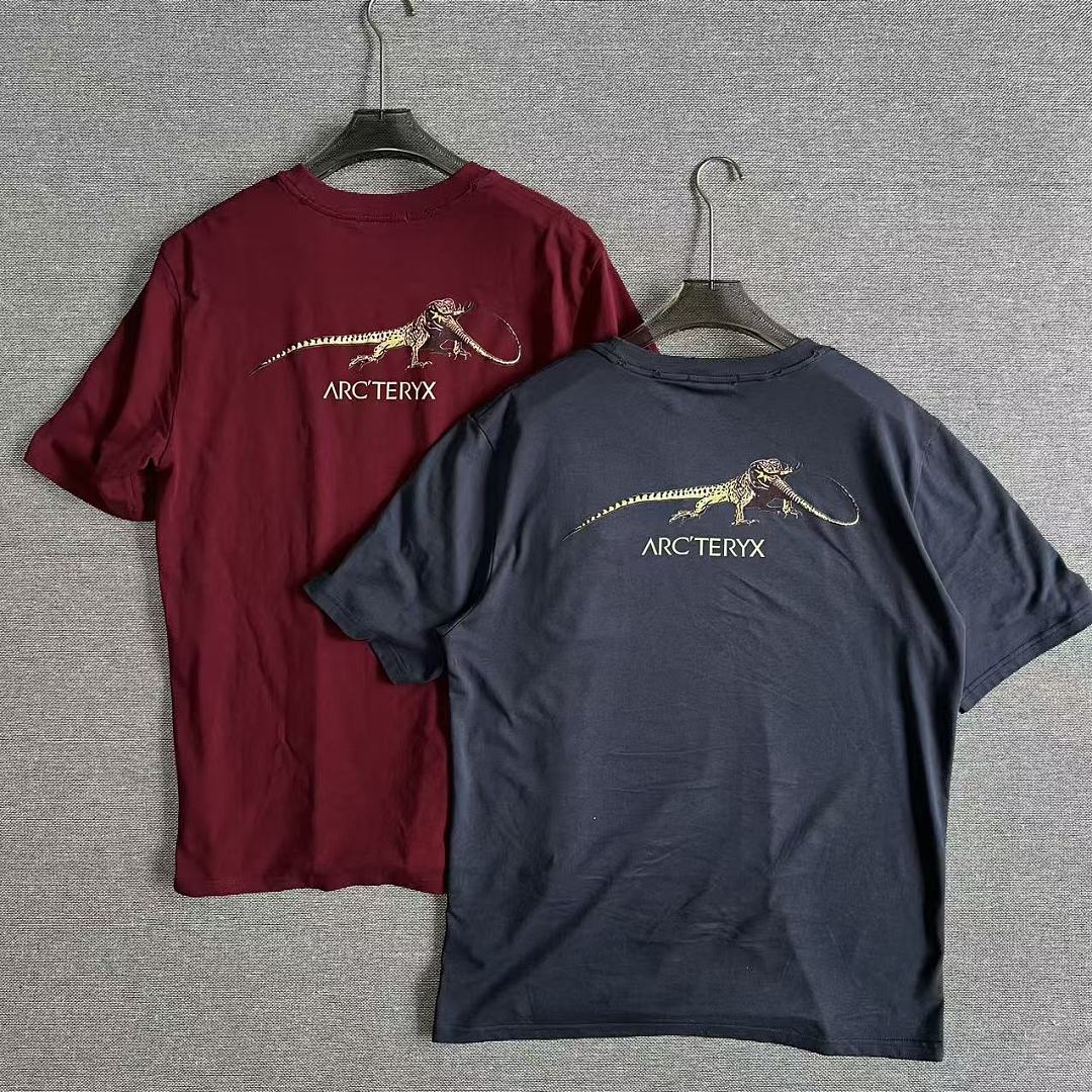 Vintage Arcteryx Retro tee
