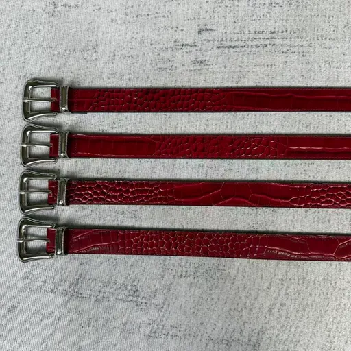Fyredwrld red belt